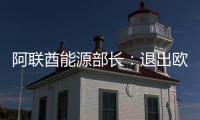 阿联酋能源部长：退出欧佩克对市场影响有限