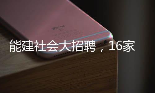 能建社会大招聘，16家单位、24个高管岗位等你来！ 纳入失信被执行人名单的