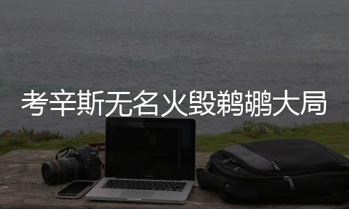 小区里“圈地”种菜现象频出 为啥罚单难开 鹈鹕与火箭已打过两场球