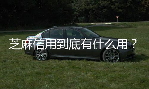 芝麻信用到底有什么用？ 可以免押金去享受一些服务