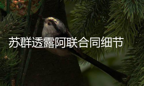 29日热点：杜兰特明夏或赴勇士 哈登与科勒分手 湖人正式签约易建联