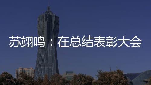苏翊鸣：在总结表彰大会上仿佛重温夺金瞬间 明年想上一所好大学 感谢所有支持我的结表人