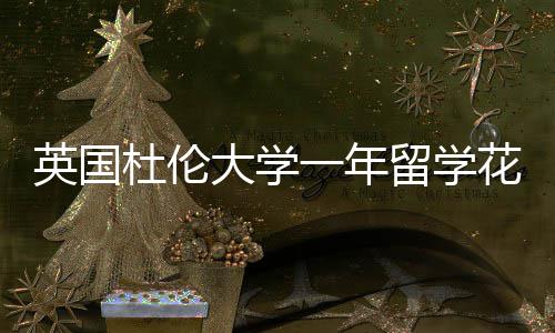 英国杜伦大学一年留学花费预算指南 整体培养成本相对较低