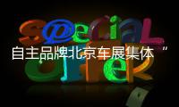 自主品牌北京车展集体“冲高”，靠的是什么？