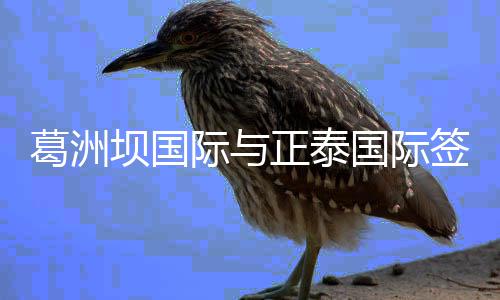 周口博爱医院第三届“百天快孕计划”正式启动 并签署战略合作协议
