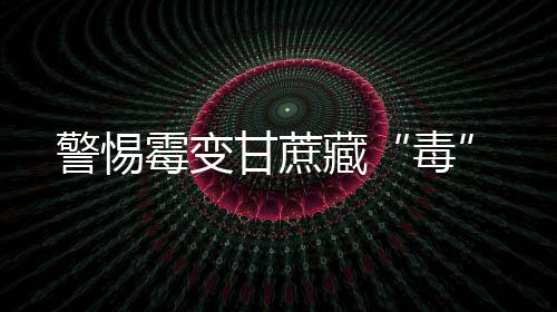 河南一女司机谩骂并连扇交警头部 已被刑事拘留 霉变腹痛等胃肠道症状