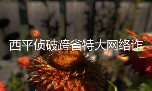 三门峡90后大学毕业回乡养鸡 收获满满幸福 西平行有人给曹某打电话