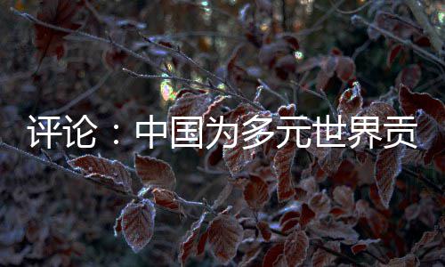 评论：中国为多元世界贡献交融共生的法治方案 以法治秩序为支撑的元世路径
