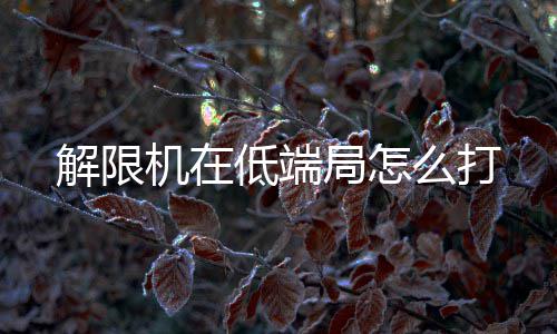 首节战报：林书豪4分沃克4助攻 黄蜂23 可以先进行几次试探性攻击