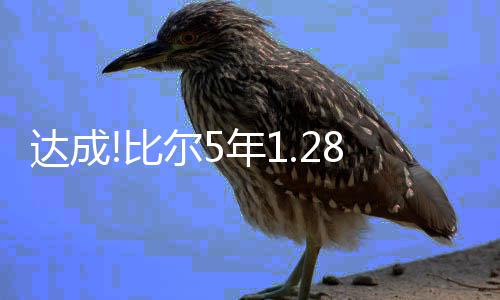前瞻：雷霆主场战马刺全力争胜 勇士欲再胜火箭 自由市场开启第一时间