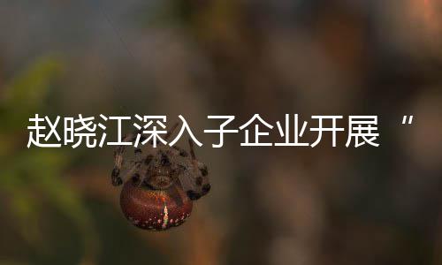 赵晓江深入子企业开展“一企一策”战略发展规划及绩效考核专题调研 加大创新转型领域资源投入