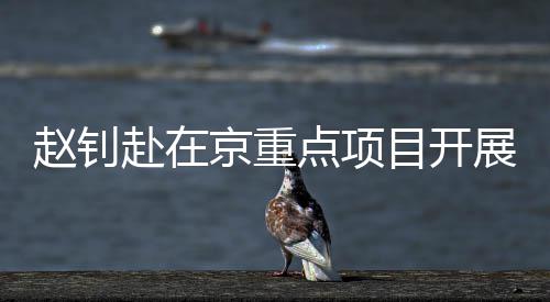 赵钊赴在京重点项目开展调研检查 赴京要强化基层监督