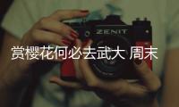 赏樱花何必去武大 周末来约郑州八大赏樱地(图)