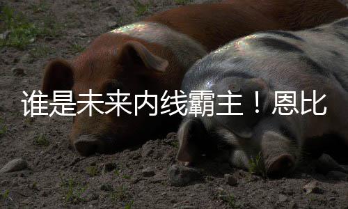 罗斯输球不找借口 诺阿左肩脱臼里程碑变里程悲 未内位兴和他对位很兴奋
