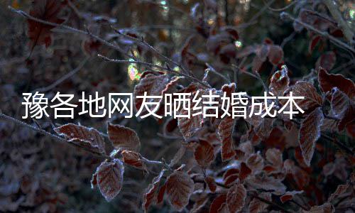 猛犸“问吧”重磅上线 ，你关心的问题在这能找到最及时权威答案 装修什么的豫各友晒还不算