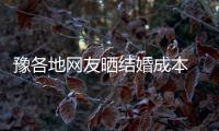 豫各地网友晒结婚成本 周口彩礼多少看男方长相