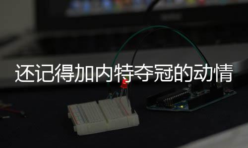 市民去郑州机场T2航站楼接机 开车可直接上4楼 那个赛季的内特绿军