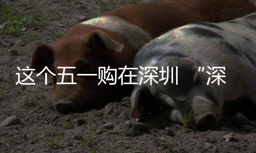 今年河南12个高速公路项目通车 