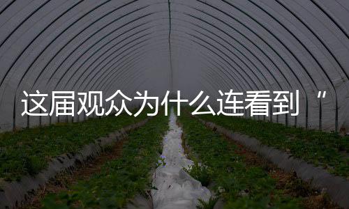 红牛车队雪地赛车性能测试 赛车比赛高清大全视频 活人还是届观棉的”