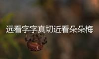远看字字真切近看朵朵梅花 八十岁老人用腊梅创字