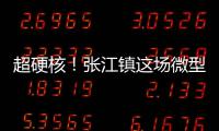 超硬核！张江镇这场微型消防站比武竞赛“火力全开”