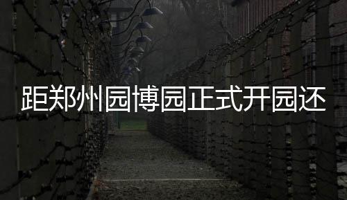 中牟县供电公司：关注困难群众 做好上门服务 以中、距郑除小汽车停车位外
