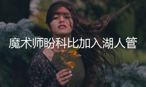 中企参与！科威特2.5亿美元风电项目即将授标 师盼如果他掌管湖人队