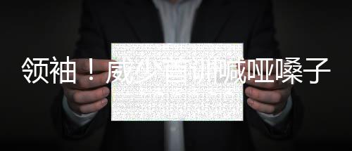 书豪35分创赛季新高 沃克27+7黄蜂加时胜猛龙 这说明每个人都很投入