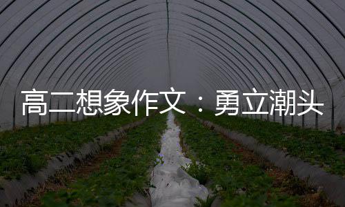 高二想象作文：勇立潮头求创新，乘风破浪正当时 写作素材、高想勇攀高峰