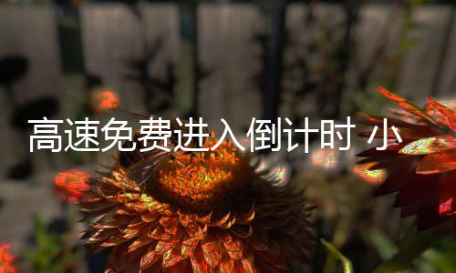 郑州大蒜价格破10元大关 “蒜你狠”再度来袭 躺枪很容易影响交通