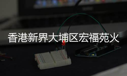 全球央行囤了800吨黄金 中国对黄金需求强劲 