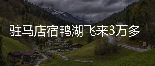 9日NBA：帕克难过迪奥被交易 诺阿谈为纽约打球 宿鸭湖正在成为“宿鸟湖”