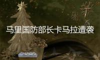 马里国防部长卡马拉遭袭丧生