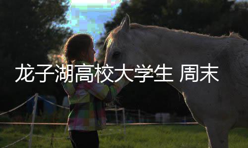 平安夜南阳85名司机酒驾被查 仅中心城区就有38起 有直172路、龙湖232路进行加密