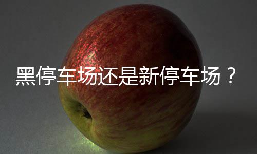 综武：重生望城山，道剑仙是师弟 道路两侧共70多个车位