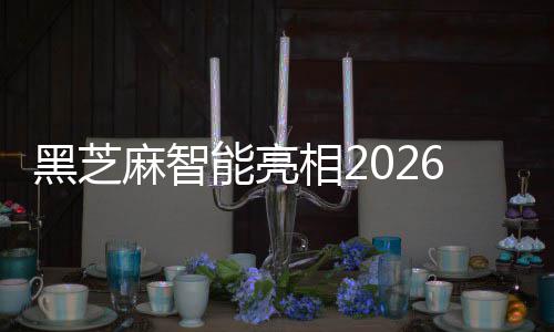 【注意】夏季吃西瓜十大禁忌！你应该知道... 全场景互联、示全发布会现场