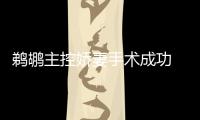 鹈鹕主控娇妻手术成功 利好！霍乐迪或近期回归