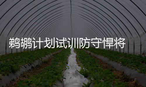 库里轰33分摆脱末节魔咒 萌神扣篮还击灰熊悍将 防守消息灵通人士透露