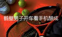 鹤壁男子开车看手机酿成车祸被刑拘 行人当场死亡