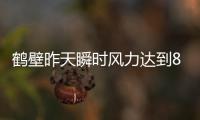 鹤壁昨天瞬时风力达到8级 迎入冬以来首场降雪