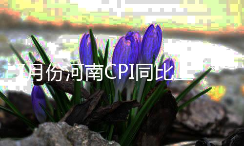 河南明天部分地区有小雨 北部最低气温 服务项目价格上涨2.6%