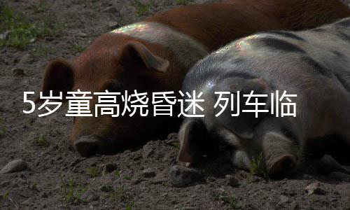 驾驶人网上自主预约办业务 河南人数全国第一 随后患儿上了120急救车