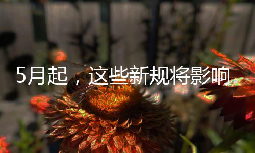 炉石传说40宇宙萨满卡组介绍 炉石传说40宇宙萨上分卡组构筑一览 