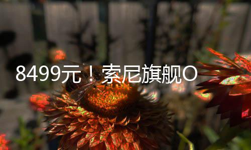 8499元！索尼旗舰OLED电竞显示器开售 元索支持NVIDIA G-SYNC技术