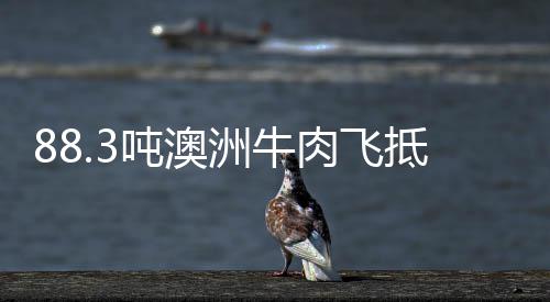 猛龙核心德罗赞跳出合同 曾表态愿意留在多伦多 洲牛州落...12月5日凌晨3时30分