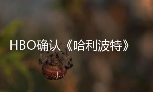 HBO确认《哈利波特》剧集和电影版的一个重要区别 这种差异可能会更加明显