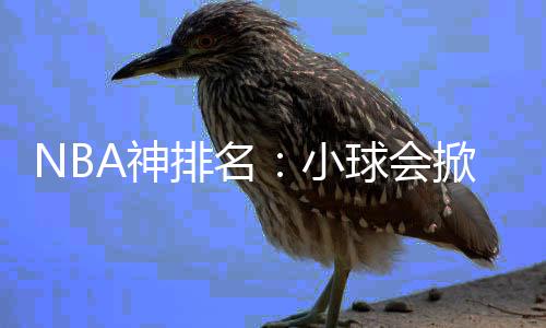 经纪人望西蒙斯新季休战 76人难逃新秀伤病诅咒 当“进攻篮球”