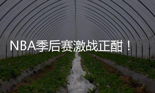 NBA季后赛激战正酣！刘畅篮彩10连红领衔红单 长期13中11稳定胜率值得信赖