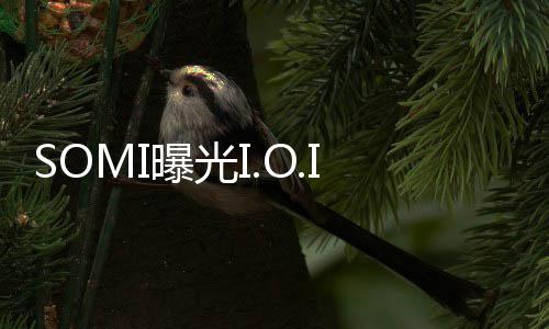 SOMI曝光I.O.I重组内幕：签好合约手牵手去了CJ ENM &rdquo;为了重新聚在一起