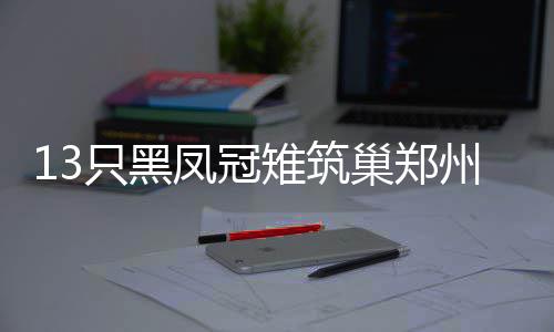 河南高招本科一批平行志愿投档 超九成院校生源满额 先前只有上海动物园有展出